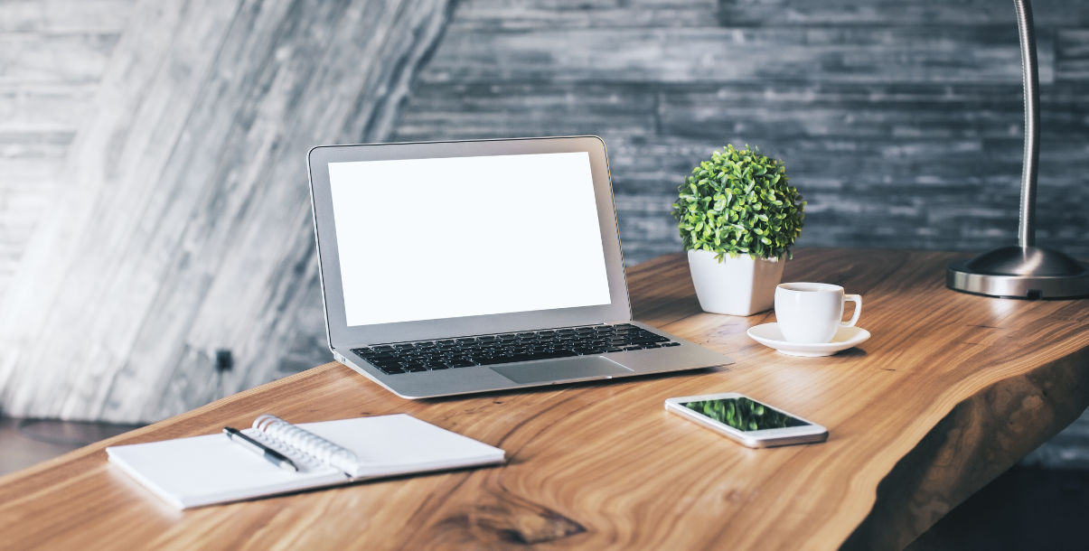 Minimalist desk with a laptop and plant.