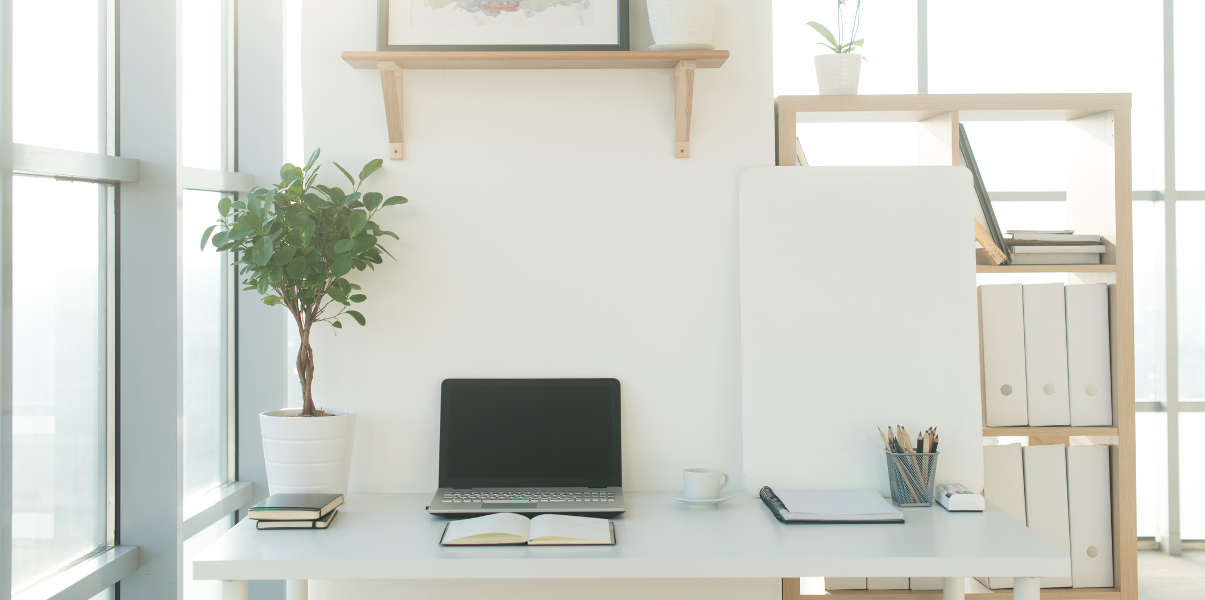 Tidy workspace with wooden shelves, plant, and laptop.