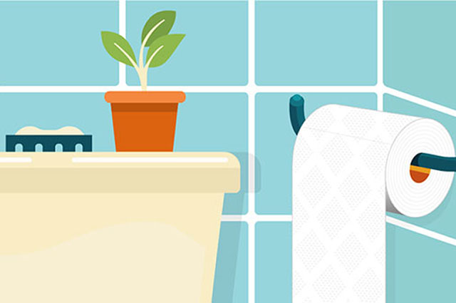 The best toilet paper brands