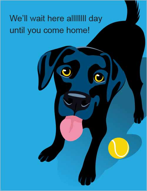 Office morale–pets dog on blue background